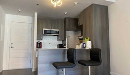 步行2分钟到PIE-IX地铁站，全新一居室长租短租均可