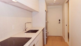 市中心双子塔Maestria Condo 出租