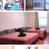 JOLIETTE地铁站旁边大STUDIO拎包入住包家具家电网络